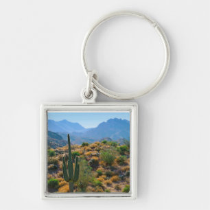 USA, Arizona. Desert View Key Ring