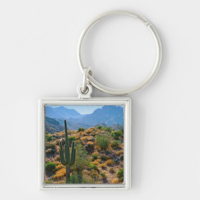 USA, Arizona. Desert View Key Ring (Front)