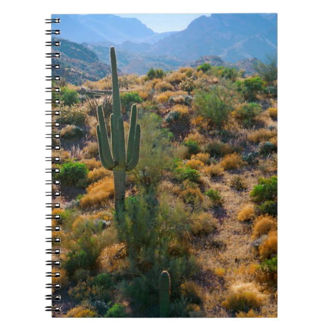 USA, Arizona. Desert View Notebook (Front)
