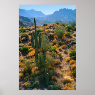 USA, Arizona. Desert View Poster