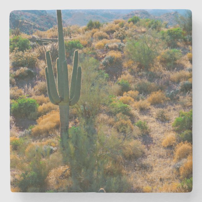 USA, Arizona. Desert View Stone Coaster (Front)