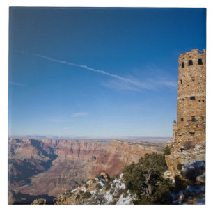 USA, Arizona, Grand Canyon National Park. Desert Tile