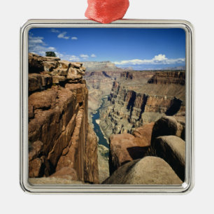 USA, Arizona, Grand Canyon National Park, Metal Tree Decoration