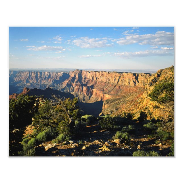 USA, Arizona, Grand Canyon National Park, View Photo Print (Front)