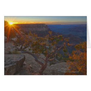 USA, Arizona, Grand Canyon, Yavapi Point at