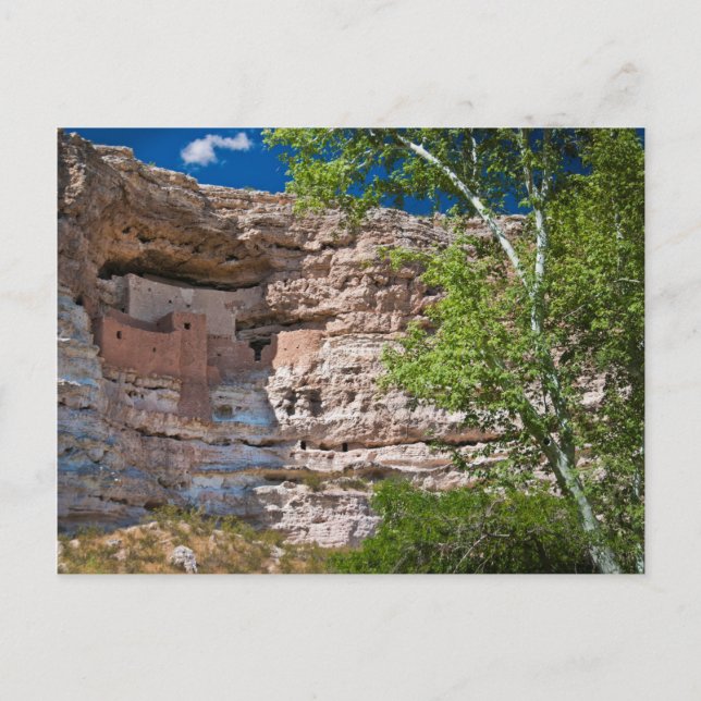 USA, Arizona. Montezuma Castle, The Ruins Postcard (Front)