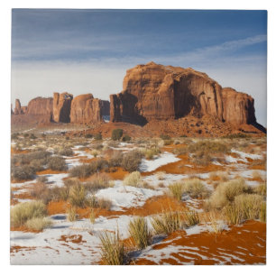 USA, Arizona, Monument Valley Navajo Tribal Tile