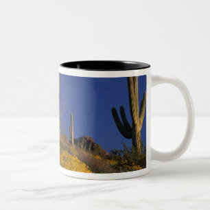 USA, Arizona, Organ Pipe Cactus National 2 Two-Tone Coffee Mug