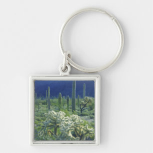 USA, Arizona, Organ Pipe Cactus National Key Ring