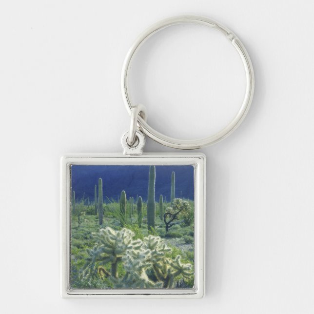 USA, Arizona, Organ Pipe Cactus National Key Ring (Front)