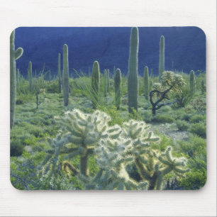 USA, Arizona, Organ Pipe Cactus National Mouse Mat