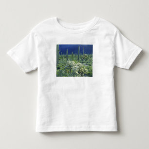 USA, Arizona, Organ Pipe Cactus National Toddler T-Shirt