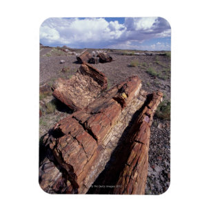 USA, Arizona, Petrified Forest National Park, 2 Magnet