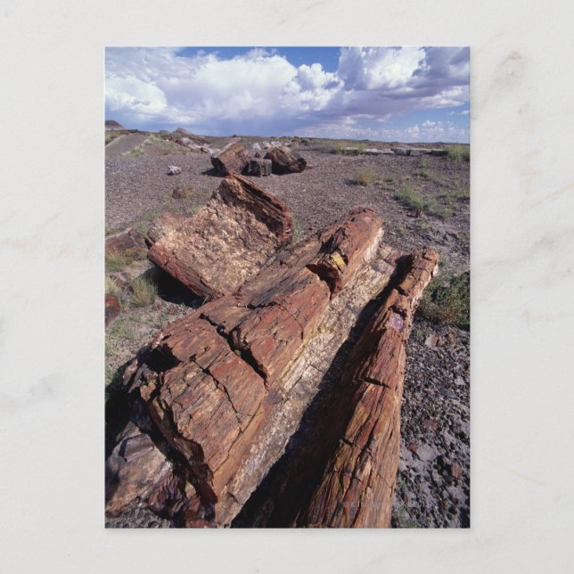 USA, Arizona, Petrified Forest National Park, 2 Postcard (Front)