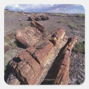 USA, Arizona, Petrified Forest National Park, 2 Square Sticker