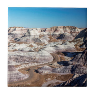 USA, Arizona, Petrified Forest National Park Tile