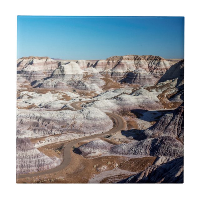 USA, Arizona, Petrified Forest National Park Tile (Front)