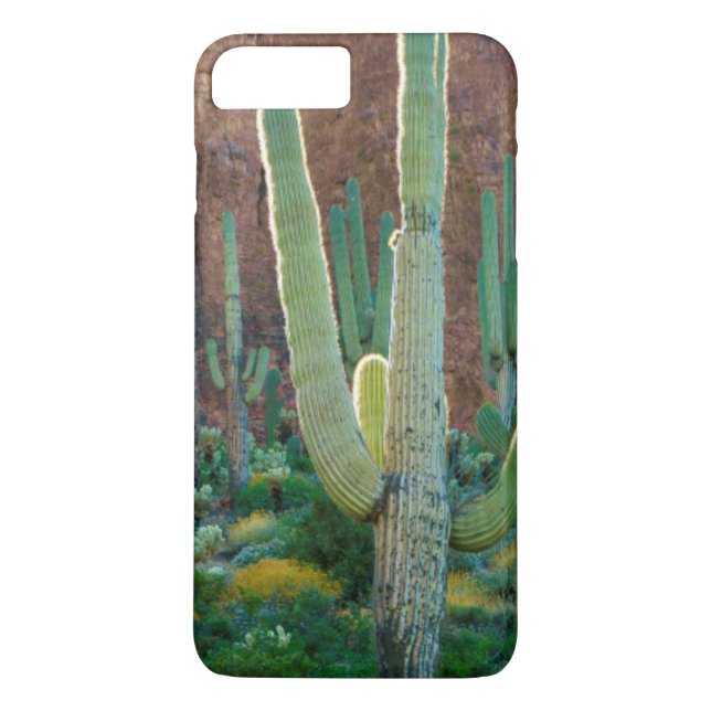 USA, Arizona. Saguaro Cactus Field By A Cliff Case-Mate iPhone Case (Back)