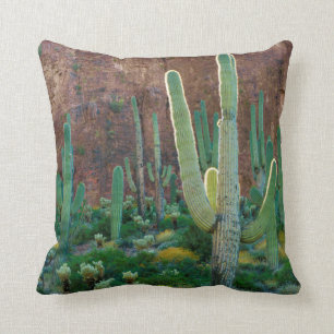 USA, Arizona. Saguaro Cactus Field By A Cliff Cushion