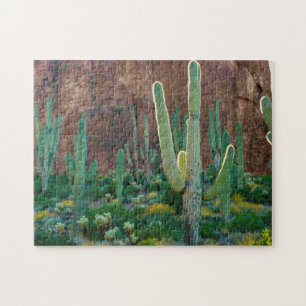 USA, Arizona. Saguaro Cactus Field By A Cliff Jigsaw Puzzle