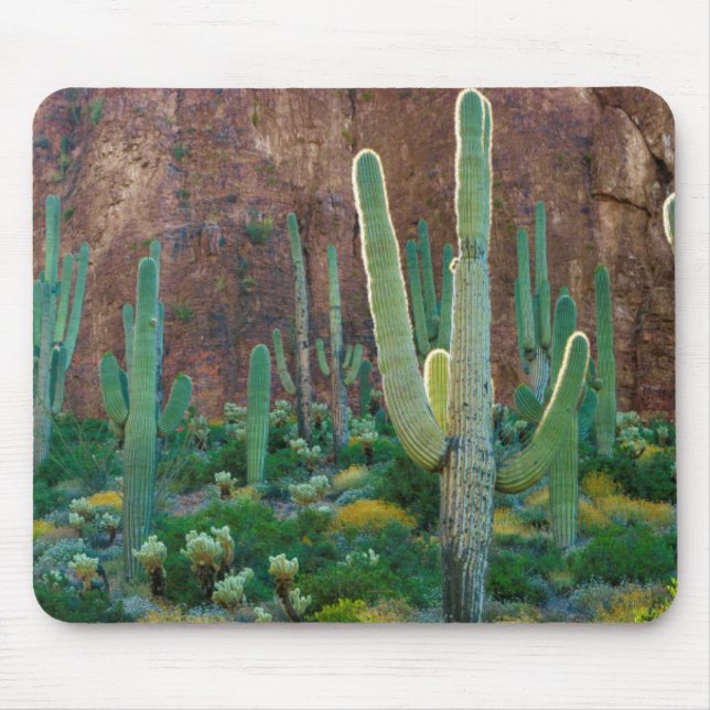 USA, Arizona. Saguaro Cactus Field By A Cliff Mouse Mat (Front)