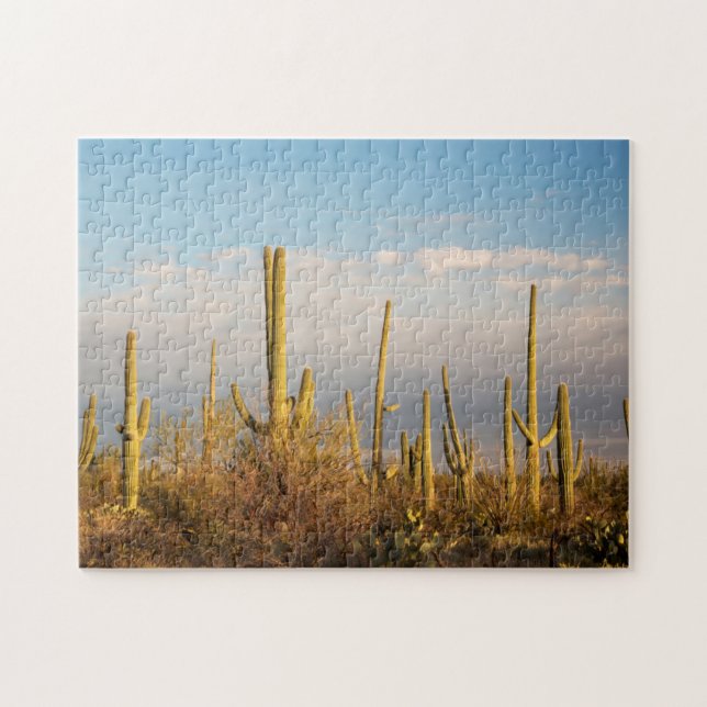 USA, Arizona, Saguaro National Park, Saguaro Jigsaw Puzzle (Horizontal)
