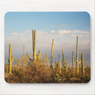 USA, Arizona, Saguaro National Park, Saguaro Mouse Mat