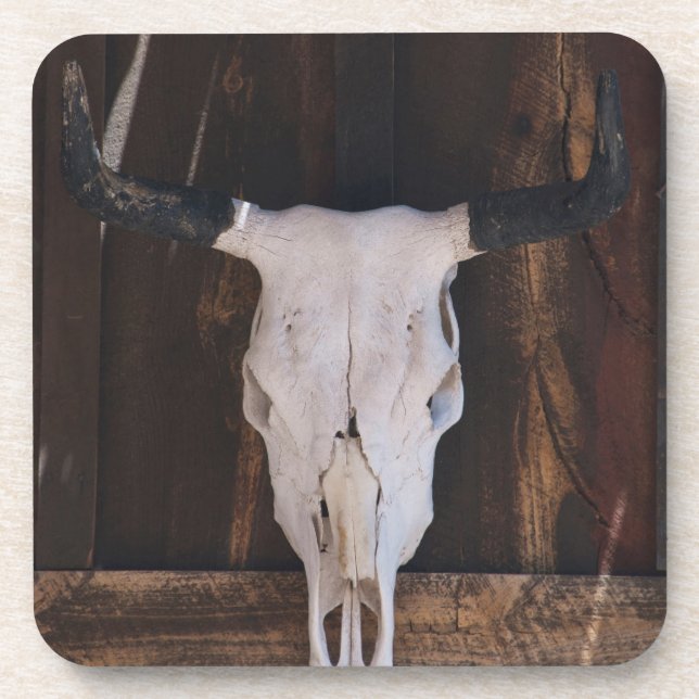 USA, Arizona. Skull On A Shop Wall Coaster (Front)