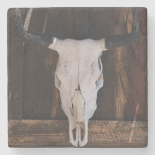 USA, Arizona. Skull On A Shop Wall Stone Coaster