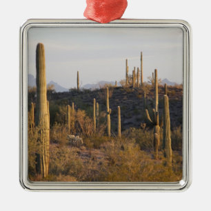 USA, Arizona, Sonoran Desert, Ajo, Ajo 2 Metal Tree Decoration