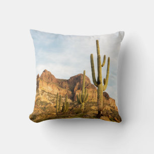 USA, Arizona, Tonto National Forest, Picketpost 2 Cushion