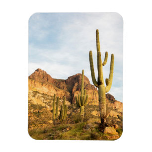 USA, Arizona, Tonto National Forest, Picketpost 2 Magnet