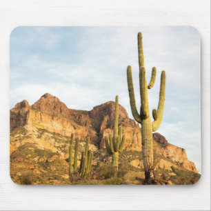 USA, Arizona, Tonto National Forest, Picketpost 2 Mouse Mat