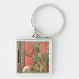 USA, Arizona, Tucson: Presidio Historic District 2 Key Ring