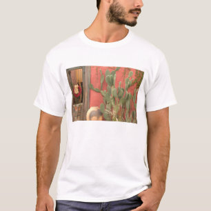 USA, Arizona, Tucson: Presidio Historic District 2 T-Shirt