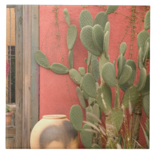 USA, Arizona, Tucson: Presidio Historic District 2 Tile