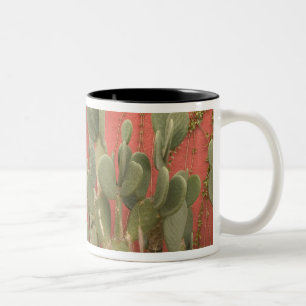 USA, Arizona, Tucson: Presidio Historic District 2 Two-Tone Coffee Mug