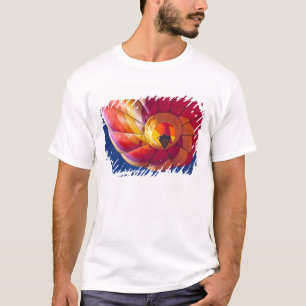 USA, Arizona, Val Vista. A colourful hot-air T-Shirt