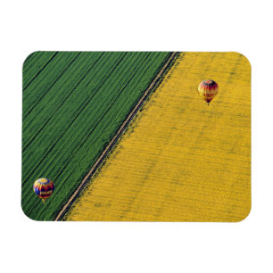 USA, Arizona, Val Vista. Hot-air balloons soar Magnet
