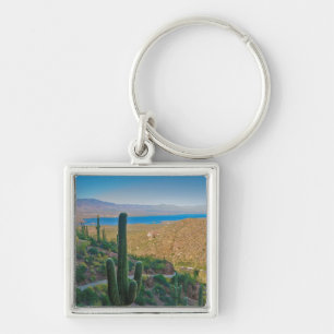 USA, Arizona. View From The Entrance To Tonto Key Ring
