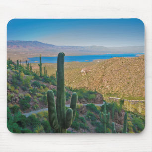 USA, Arizona. View From The Entrance To Tonto Mouse Mat