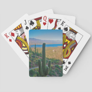 USA, Arizona. View From The Entrance To Tonto Playing Cards