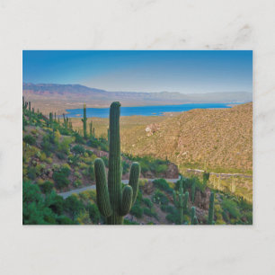 USA, Arizona. View From The Entrance To Tonto Postcard