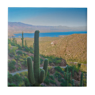 USA, Arizona. View From The Entrance To Tonto Tile