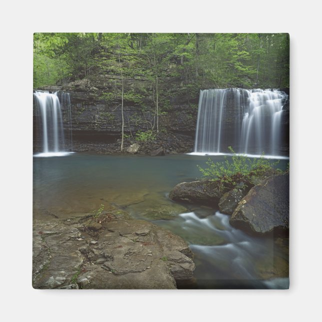 USA, Arkansas, Ozark- St Francis National Magnet (Front)