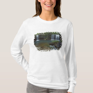 USA, Arkansas, Ozark- St Francis National T-Shirt