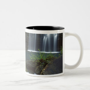 USA, Arkansas, Ozark- St Francis National Two-Tone Coffee Mug