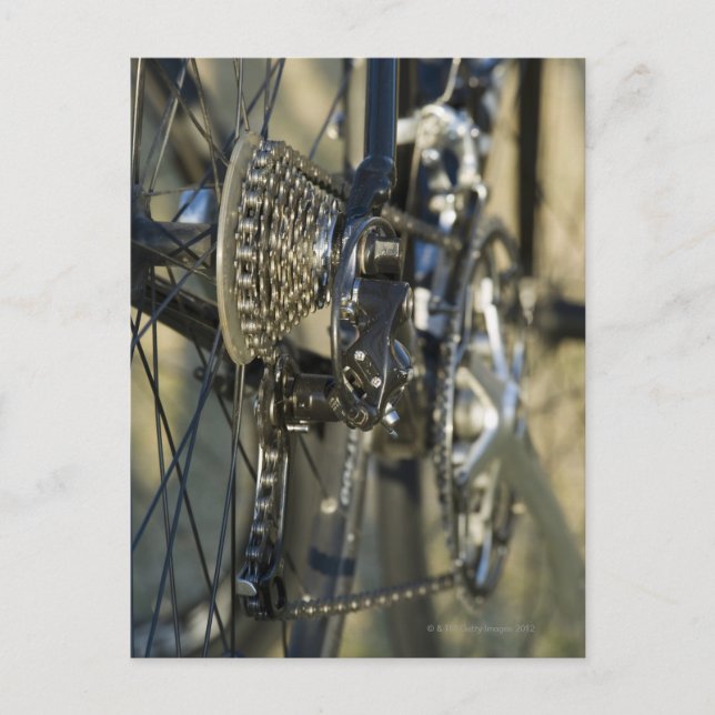 USA, AZ, Phoenix Postcard (Front)