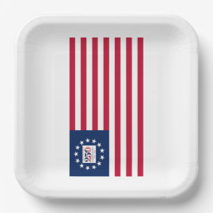 USA Betsy Ross 250th Anniversary 1776-2026 Plate