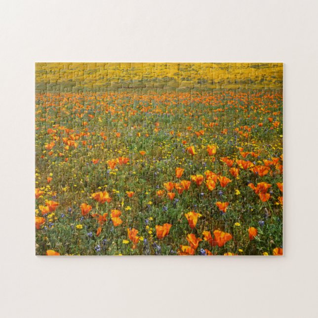 USA, California, Antelope Valley California Jigsaw Puzzle (Horizontal)